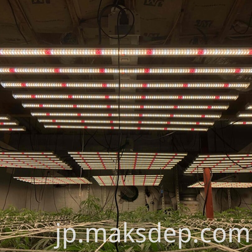 led light for growing indoor plants